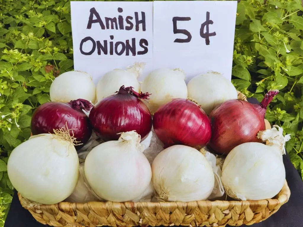 Amish Onions at a Market Stand A wicker basket filled with white and red onions, placed in front of a sign that reads "Amish Onions 5 $4" in black marker, with green foliage in the background