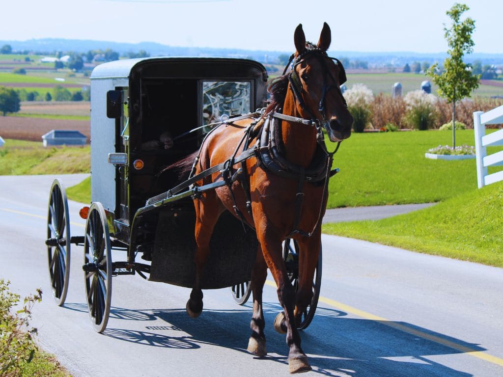 Do Amish Pay Taxes? A Glimpse Into Amish Life Do Amish Pay Taxes?, A traditional Amish horse-drawn buggy traveling down a rural road in a scenic countryside landscape.